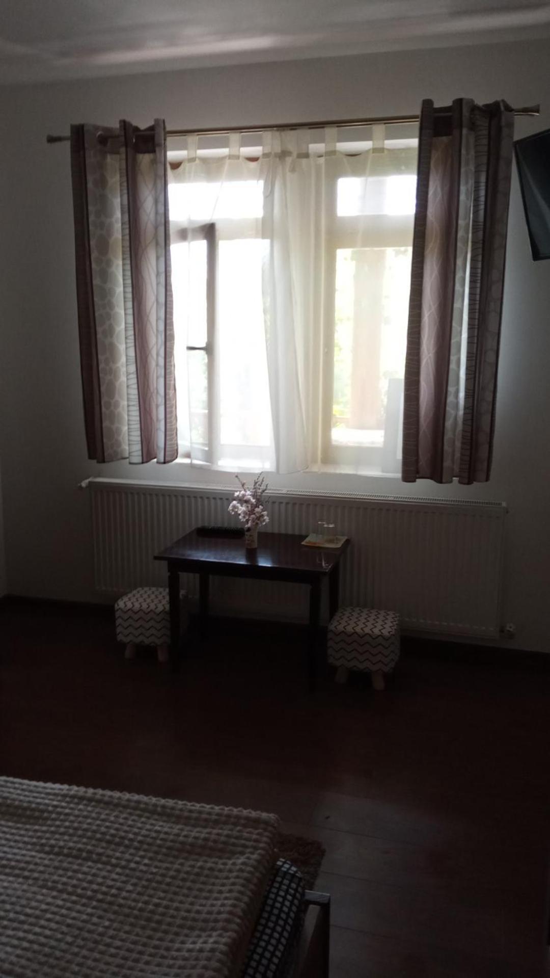 Pensiunea Dodo Patarlagele Room photo